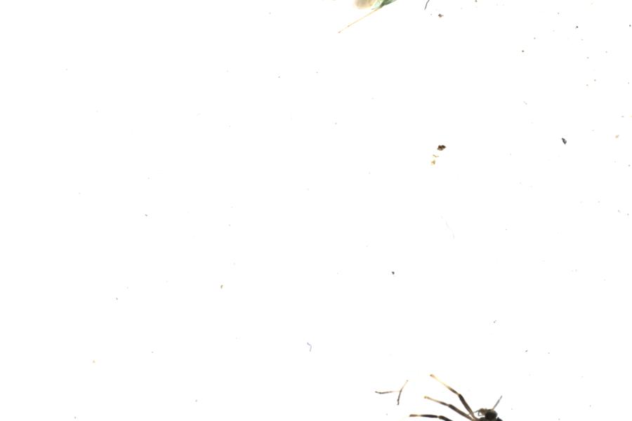 Image 59
